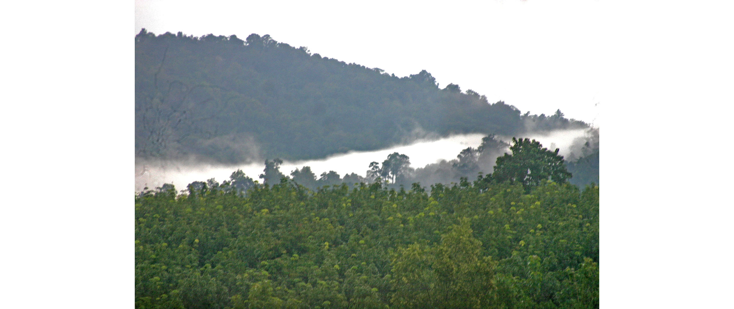 Valley cloud; room view facing east, September.